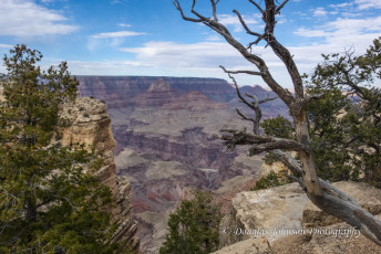 Canyons of the Southwest-5