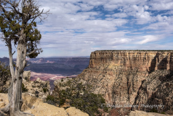 Canyons of the Southwest-7
