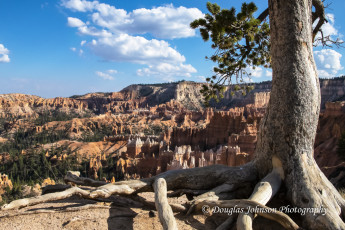 Canyons of the Southwest-9