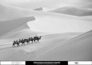 FAPA-Monovisions-NDA - Journey