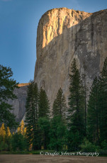 Yosemite-106