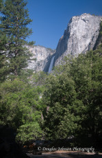 Yosemite-107